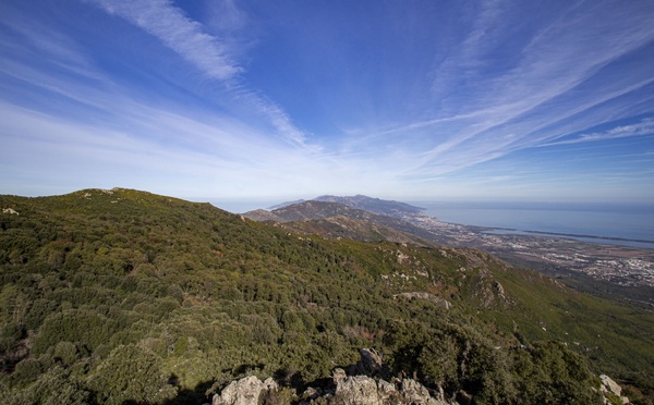 A maghjina - U Capicorsu vistu da a Cima di Stella
