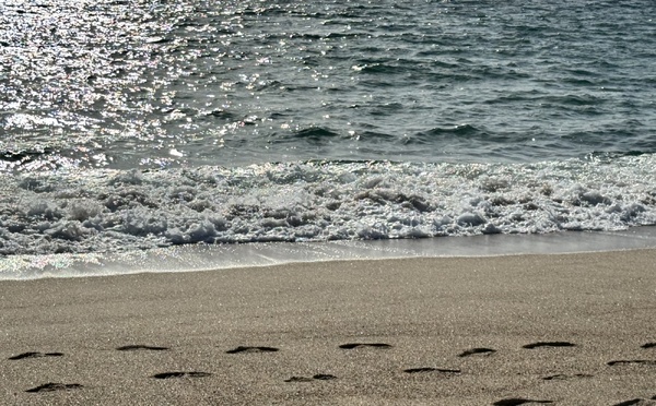 U tempu in Corsica