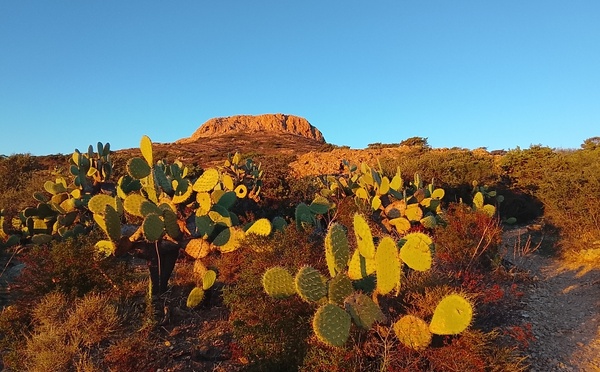 A maghjina - U Far West di l’Agriate