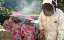 Figarella : Bergères des abeilles