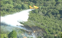 Carbuccia : 6 000m2 détruits par les flammes