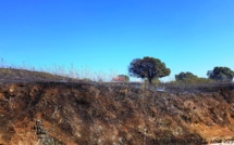 Mezzavia : 2 hectares d'herbes sèches détruits par un incendie