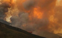 Haute-Corse : 400 hectares dévastés par le feu au cœur de la Conca d'Oru…