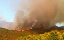 Barbaghju : Les flammes qui ont détruit 480 hectares se rapprochent d'U Poghju d'Oletta