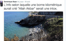 Une pétition demande "la destitution de Dominique Sopo, de la présidence de SOS Racisme"
