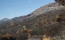 Incendie de Barbaghju : Chasse et pacage interdits