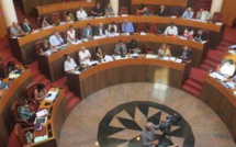 Collectivité unique : Tempête politique et vote à l’arraché du projet définitif d’ordonnances !