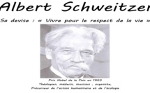 Les travaux d'Albert Schweitzer exposés à la chapelle ste Lucie