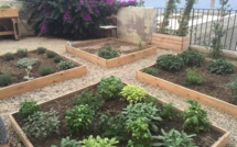 La Ville de Bastia inaugure son premier jardin participatif à la Citadelle 