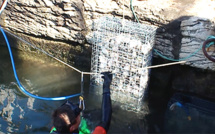 Corse  : Les premières nurseries artificielles biohut installées au port de Saint-Florent