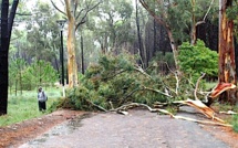 Violent orage sur Calvi