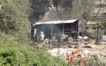 L'exploitation agricole d'Ange Orsini ravagée par un incendie criminel à Aregnu