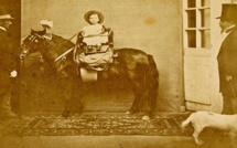 Ajaccio : Ouverture de l’exposition des donations Forbes au Palais Fesch