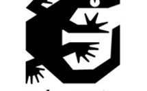 Attentat de Sotta : Condamnation unanime