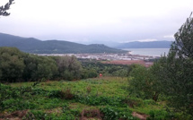 Intempéries en Corse-du-Sud : 240 mm relevés à Conca et Zonza