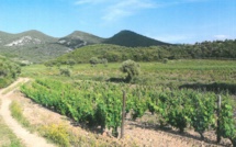 Site classé Conca d’Oru  : Un nouveau pas vers le label Grand Site de France 