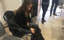 La SPA et la CAB s'associent pour la gestion de la fourrière animale