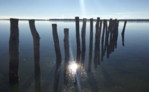 2 ème édition d'Urbinu in festa dimanche 29 janvier et jeudi 2 février prochains. 