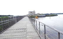 Journée mondiale des zones humides : Rendez-vous aux étangs de Biguglia et de Palu