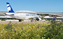 HOP! Biodiversité : Sous le tarmac d'Ajaccio, la nature !