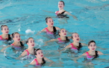 N3 Juniors : Le Fun Beluga Bastia fait encore parler de lui à Istres