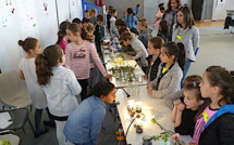  Corte : 350 scolaires à la 2ème édition des Trophées Scientifiques de Corse 