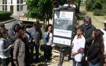Bastia : Quand des jeunes rénovent le sentier des Torrette