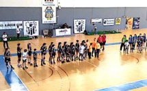 Handball féminin : Le HAC s'impose face Bouillargues