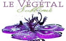 Bonifacio dévoile Fola Flora, un projet artistique réalisé sur deux années