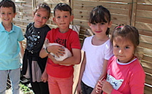 Furiani : Quand les élèves cultivent leur jardin…