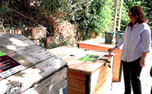 Bastia : Composteur partagé pour jardin partagé à Lupinu