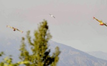 L'image du jour : Le goéland comme les Canadair