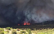 Bonifacio : Plus de 350 hectares détruits par les flammes