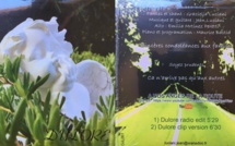 400 CD "A nos Anges de la route" offerts à l'association "Adrien Lippini - Un vélo, Une  Vie"