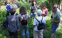 Bastia : A la découverte des jardins du Guadello
