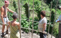 Vezzani : Comment réussir son jardin à 800 m d'altitude ?