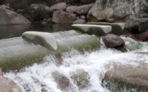 Balagne et Plaine Orientale : Mise en place des restrictions provisoires des usages de l’eau