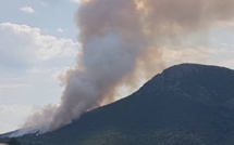 Alata : 15 hectares détruits par les flammes