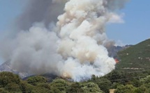   Cuttoli: 20 hectares parcourus par les flammes