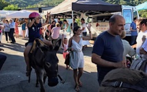 Ville-di-Pietrabugno : Un beau succès pour A Festa Paisana