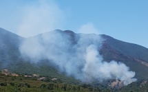 Plaine de Peri : 2,5 hectares détruits par les flammes