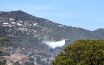 Incendie virulent en direction du barrage de Codole