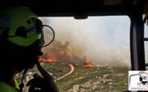 Bonifacio : 200 hectares de gros maquis détruits