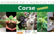 Le « Panorama de l’agriculture en Corse » un document essentiel