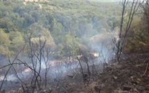 Violent incendie à Castellu-di-Rustinu. 5 hectares détruits à Veru