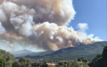 Incendies en Haute-Corse : Près d'une centaine d'hectares détruits 