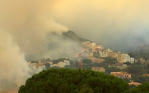 Feu d'Olmeta di Tuda : 1 500 hectares parcourus, 10 voitures détruites et la scierie Luciani touchée à Biguglia