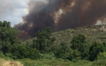 Propriano : Gros départ de feu à Capu Laurosu