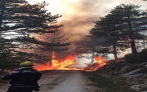 Corse du Sud : Des incendies loin d'être maîtrisés, Palneca sous haute surveillance