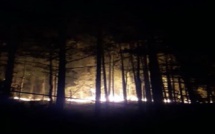Point Incendie sur la Corse du Sud : les forces d'intervention concentrées sur Palneca